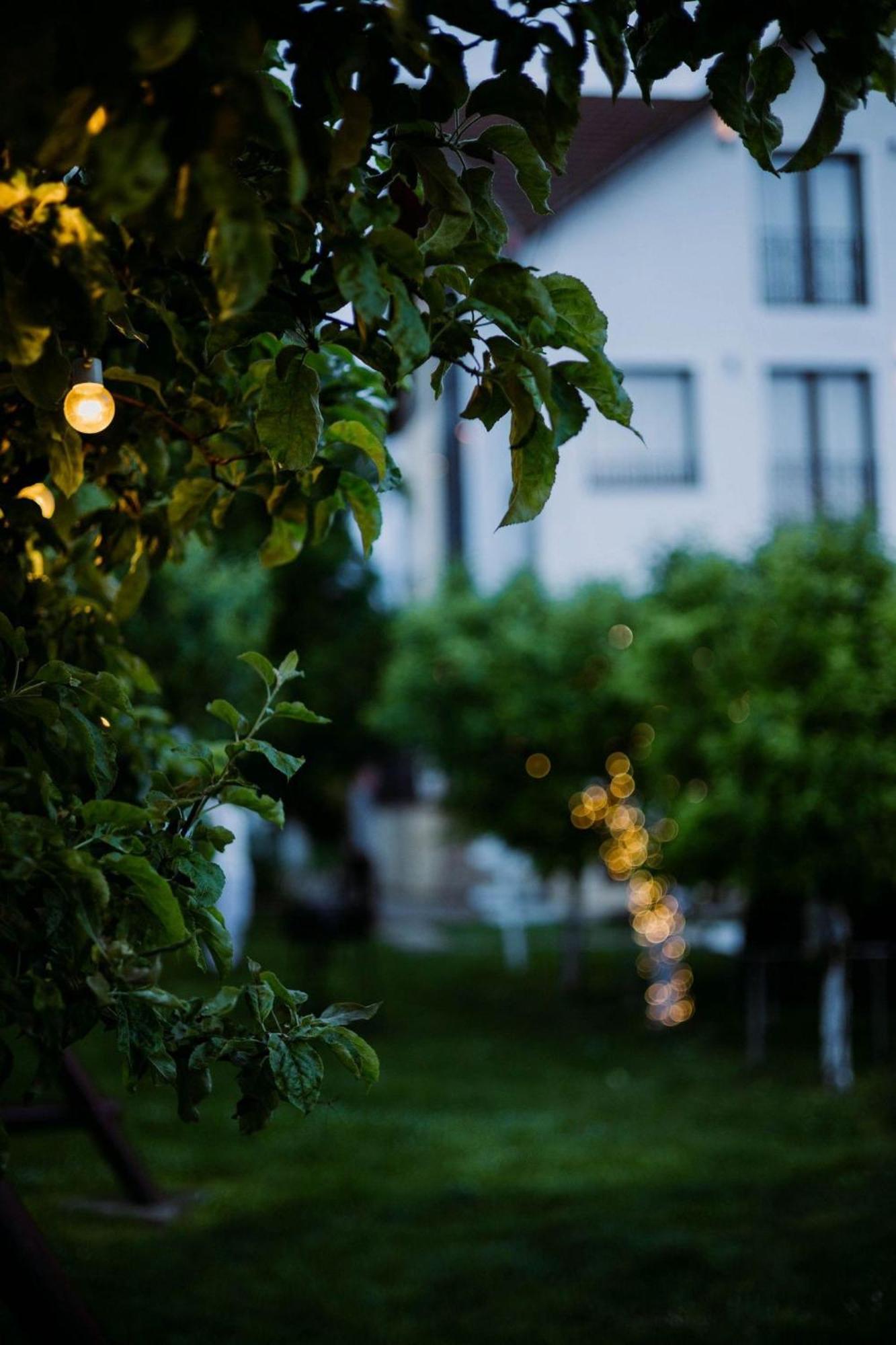 Stupina Hotel Braşov Buitenkant foto