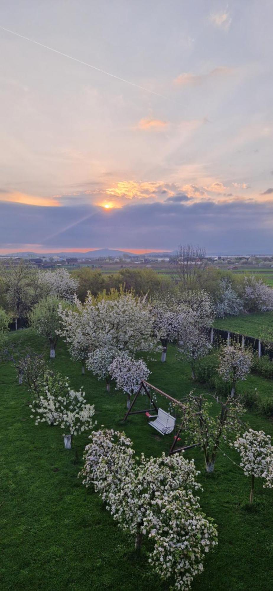 Stupina Hotel Braşov Buitenkant foto