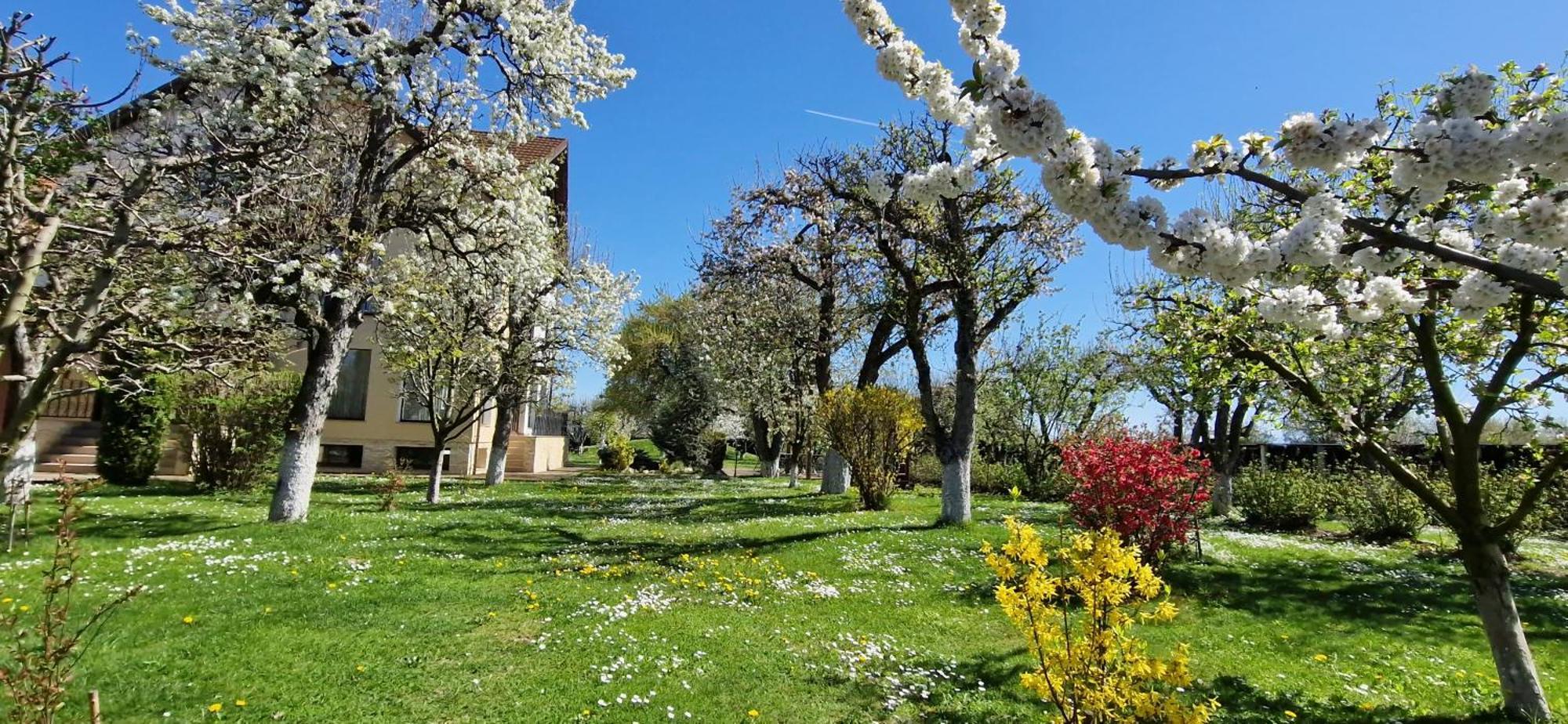 Stupina Hotel Braşov Buitenkant foto