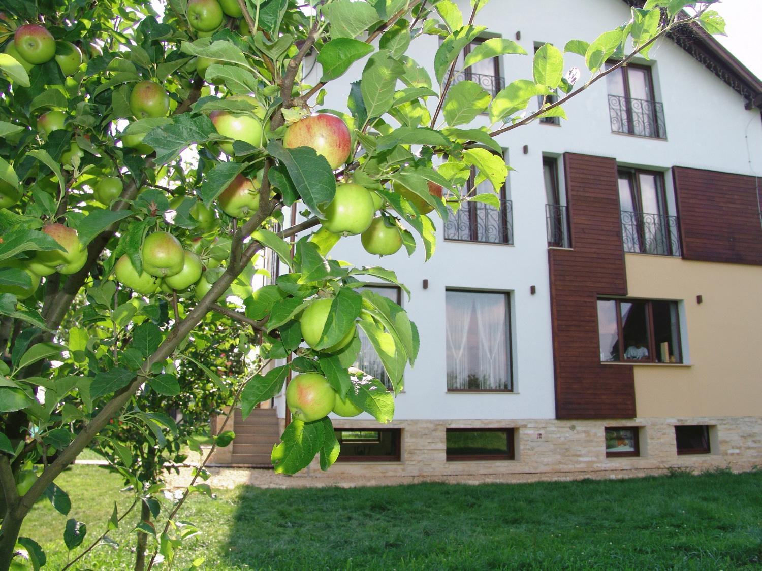 Stupina Hotel Braşov Buitenkant foto