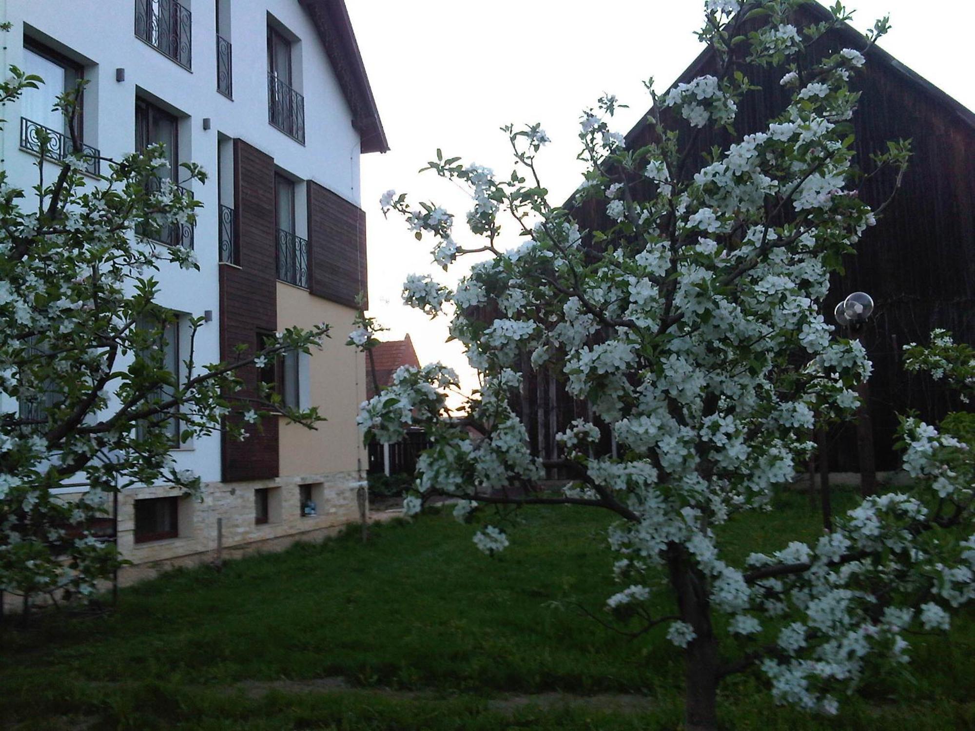 Stupina Hotel Braşov Buitenkant foto