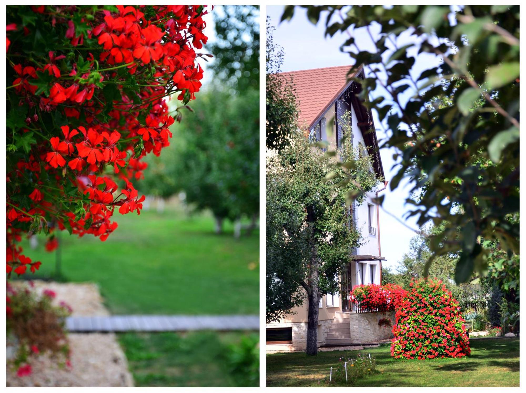 Stupina Hotel Braşov Buitenkant foto