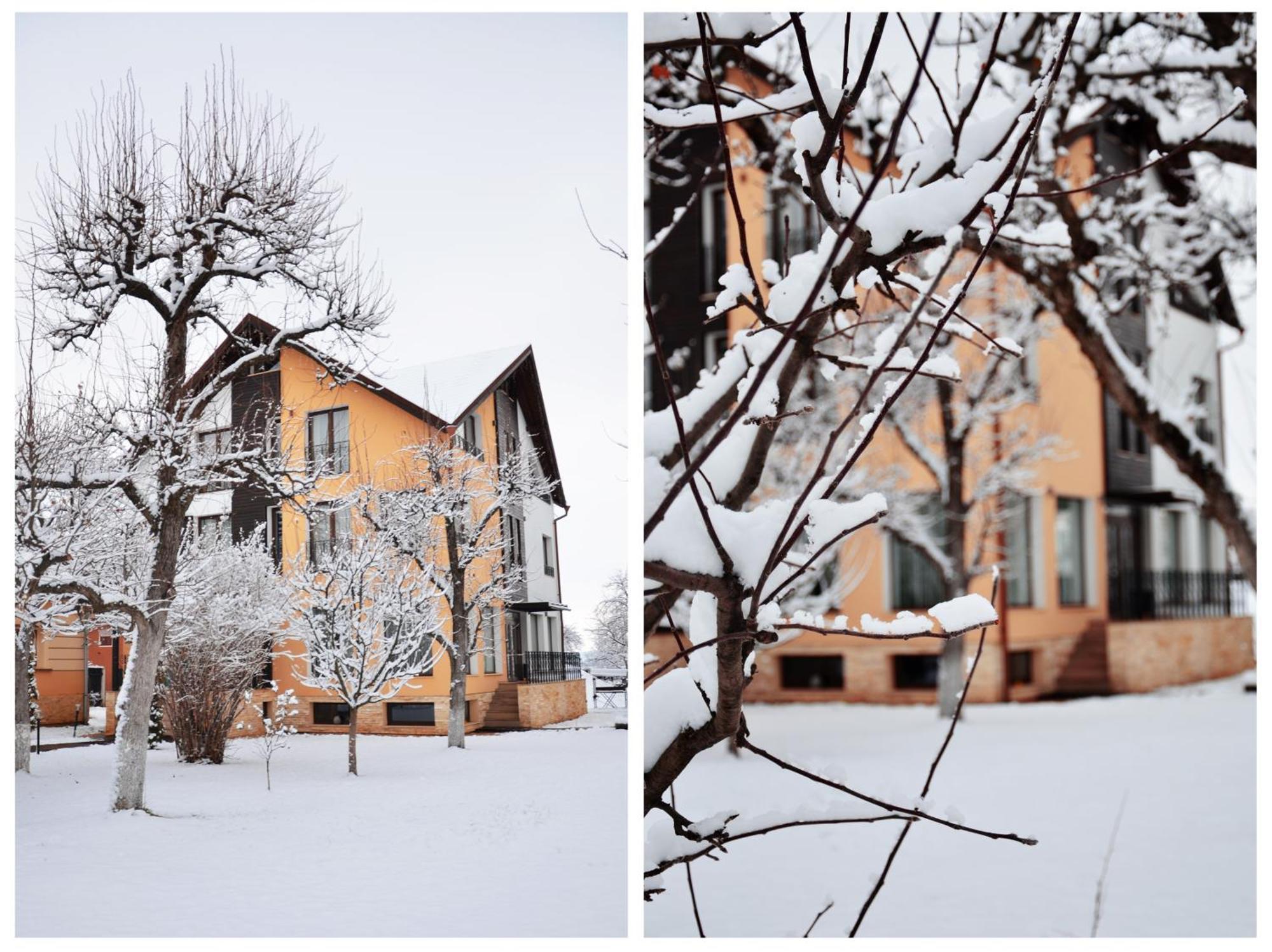 Stupina Hotel Braşov Buitenkant foto